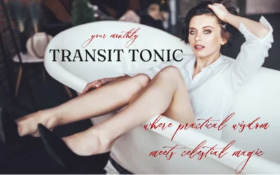 Transit Tonic for February