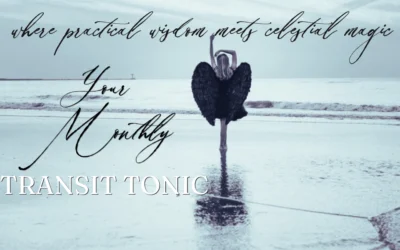 Transit Tonic for August